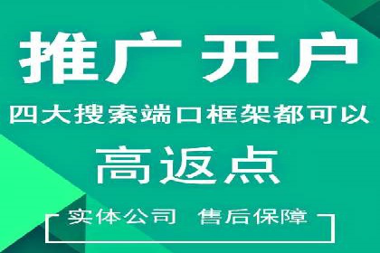 揭秘百度竞价排名：实战案例解析